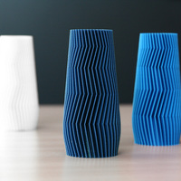 Small Vase 3D Printing 110958