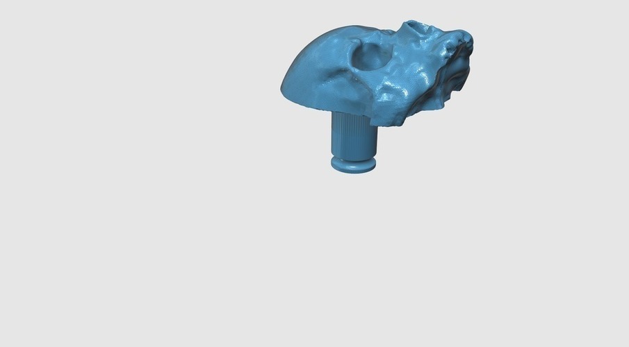 4 Gage Ear Rings (Tube, Coffin, Skull) 3D Print 111724