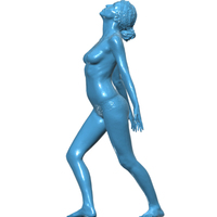 Nude Woman 2 - Thumbnail 8