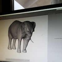 Elefant :) - Thumbnail 3