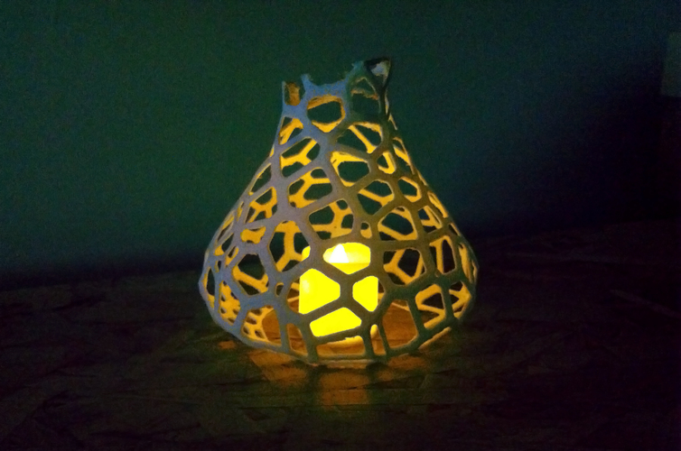LIT Vooronoi Vase 3D Print 112943