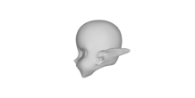 Image 113100