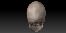 Image 11418