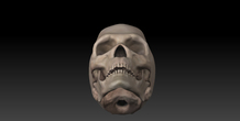 Image 11419