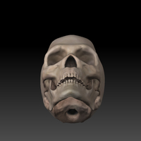 Skull. - Thumbnail 3