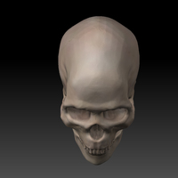 Skull. - Thumbnail 4