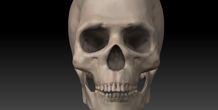 Image 11422