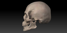 Image 11423