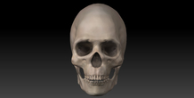 Image 11424