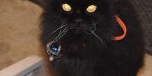 Image 114678