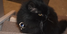Image 114682