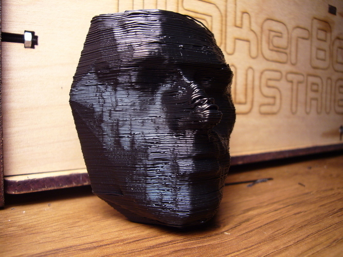 Andy's Face 3D Print 114870