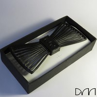 Modern Bow Tie - Thumbnail 2