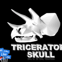 Small Triceratops Skull 3D Printing 115726