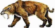 Image 115734