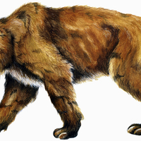 Comparing Ice Age Mammals - Thumbnail 2
