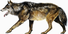 Image 115735