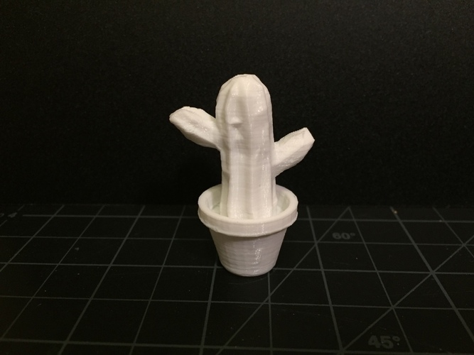 Potted Cactus 3D Print 116078
