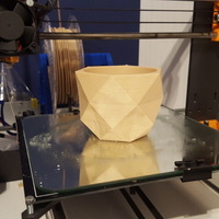 Poly Planter - Thumbnail 2