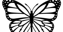 Image 116848