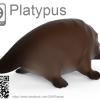 Platypus - Thumbnail 2