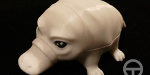 Image 117795