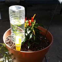 Plant irrigation spike - Thumbnail 3