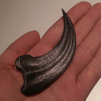 Small Raptor claw 3D Printing 118147
