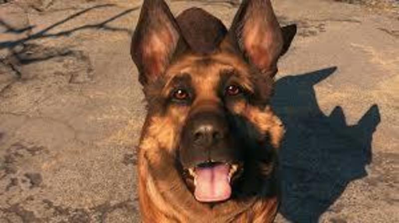 dog meat from fallout 4 