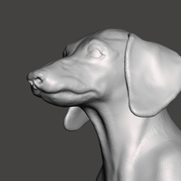 Dachshund - Thumbnail 1