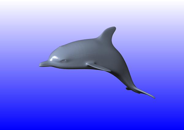 DOLPHIN