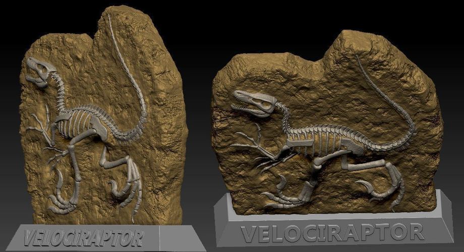 Velociraptor Fossil 3D Print 120753