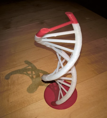 DNA helix easy print version 3D Print 121464