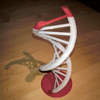 Small DNA helix easy print version 3D Printing 121464