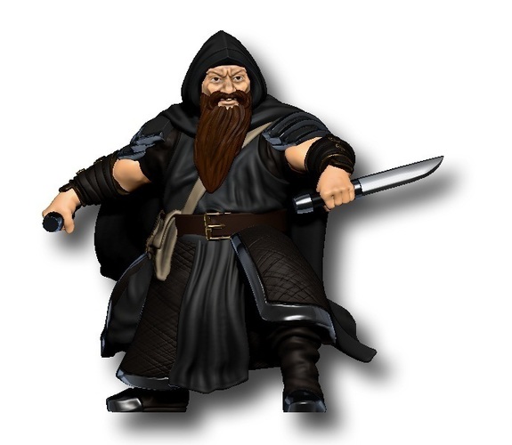 Dwarf Rogue 3D Print 121801