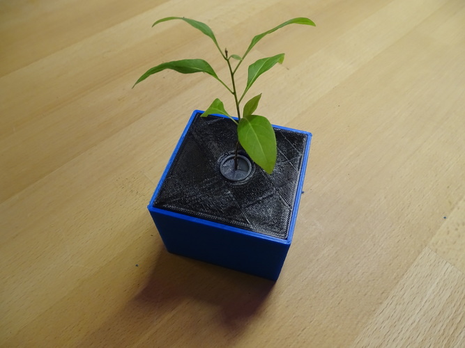 space plant pot 3D Print 123342