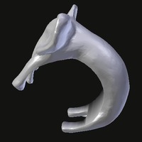 Elephant ring - Thumbnail 2