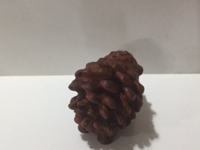 Hedgehog 3D Print 123555
