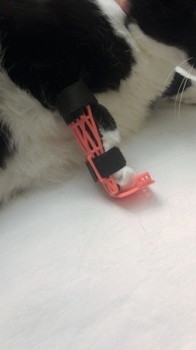 Cat/Pet  Leg Brace 3D Print 123679