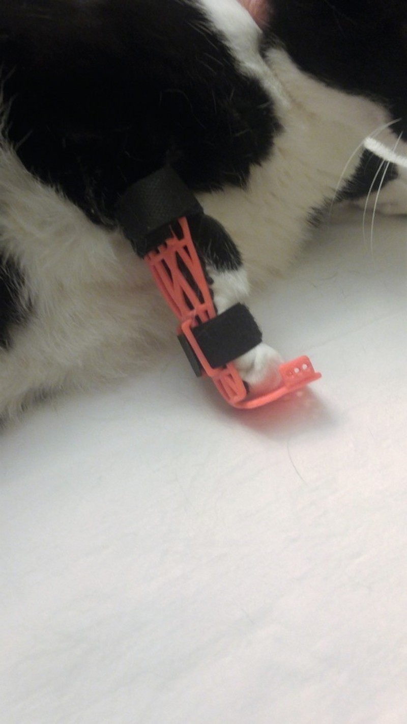 Cat/Pet Leg Brace Pinshape