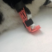 Small Cat/Pet  Leg Brace 3D Printing 123679
