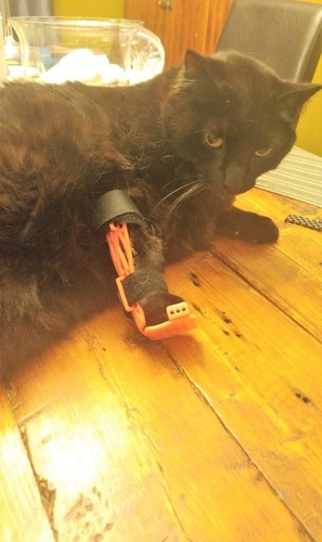 Cat/Pet  Leg Brace 3D Print 123680