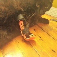 Cat/Pet  Leg Brace - Thumbnail 2