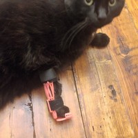 Cat/Pet  Leg Brace - Thumbnail 3