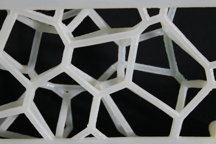 Astro-Web 3D Print 123746