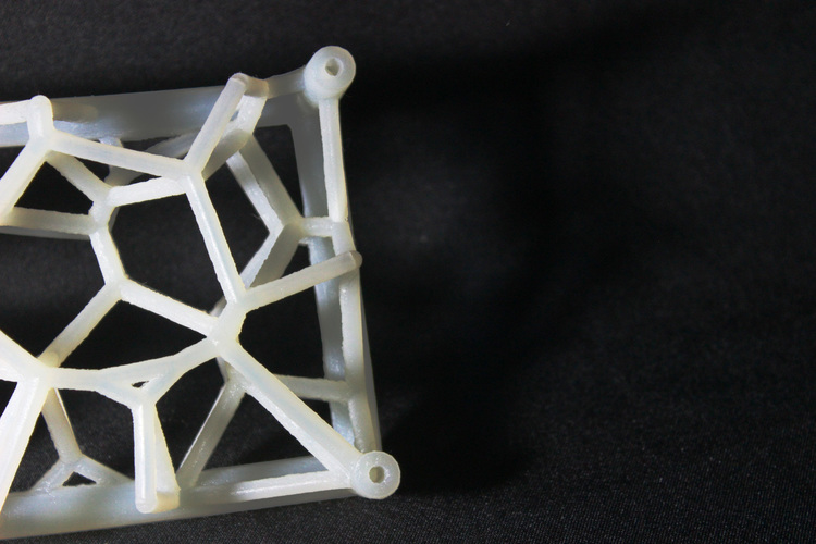 Astro-Web 3D Print 123748
