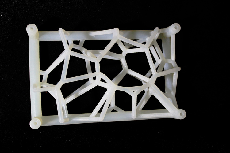 Astro-Web 3D Print 123749