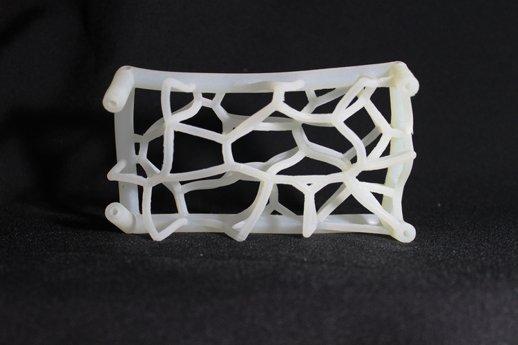 Astro-Web 3D Print 123750