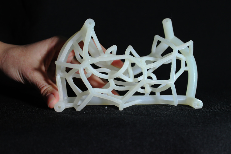 Astro-Web 3D Print 123751