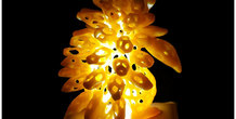 Image 124856